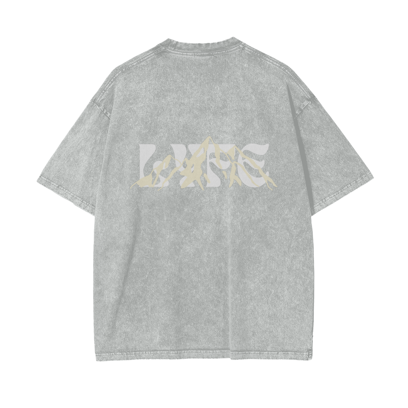 One Life Oversized Snow-Washed "LYFE" Tee