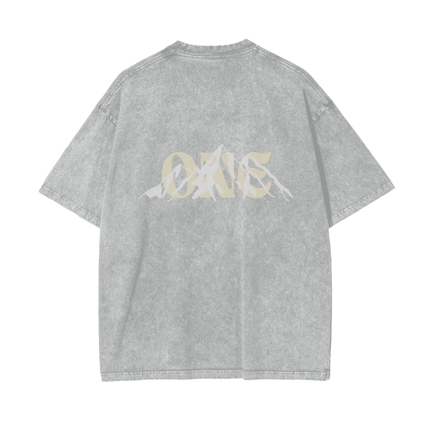 One Life Oversized Snow-Washed "ONE" Tee